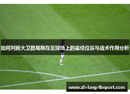 如何判断大卫路易斯在足球场上的最佳位置与战术作用分析