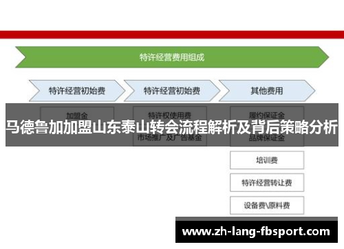 马德鲁加加盟山东泰山转会流程解析及背后策略分析
